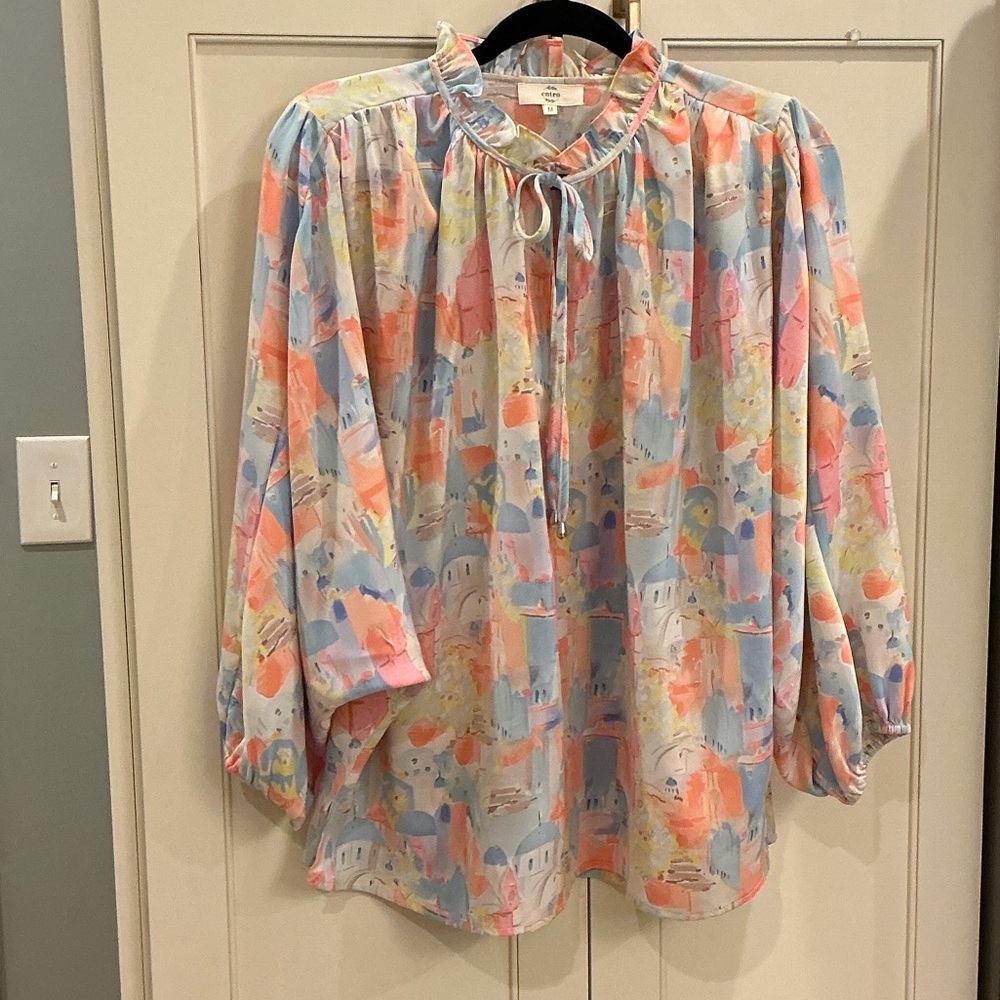 Ladies Entro multi colored long sleeve blouse. Size large.